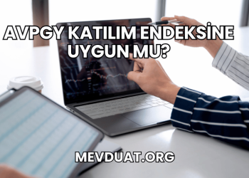 AVPGY Katılım Endeksine Uygun mu?