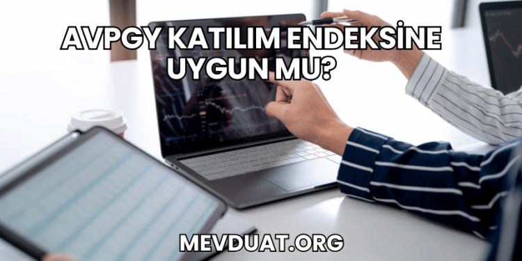 AVPGY Katılım Endeksine Uygun mu?