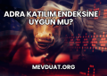 Adra Katılım Endeksine Uygun mu?