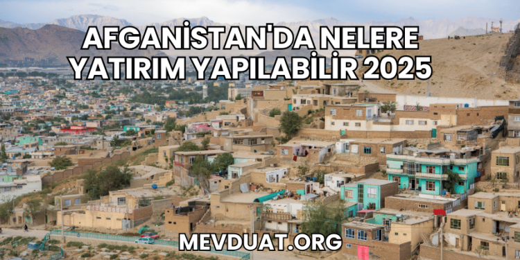 Afganistan'da Nelere Yatırım Yapılabilir 2025