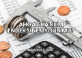 Ahgaz Katılım Endeksine Uygun mu?
