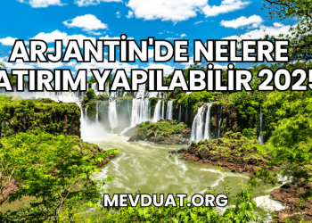 Arjantin'de Nelere Yatırım Yapılabilir 2025