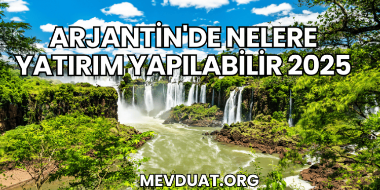 Arjantin'de Nelere Yatırım Yapılabilir 2025