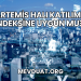 Artemis Halı Katılım Endeksine Uygun mu?