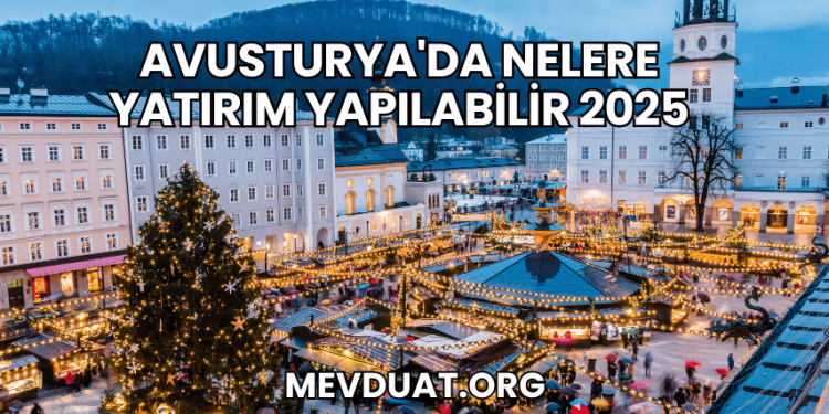 Avusturya'da Nelere Yatırım Yapılabilir 2025
