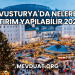 Avusturya'da Nelere Yatırım Yapılabilir 2025