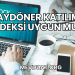Baydöner Katılım Endeksi Uygun mu?