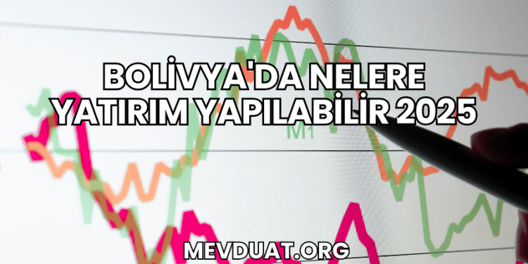Bolivya'da Nelere Yatırım Yapılabilir 2025