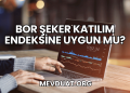 Bor Şeker Katılım Endeksine Uygun mu?