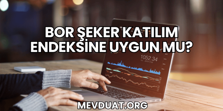 Bor Şeker Katılım Endeksine Uygun mu?
