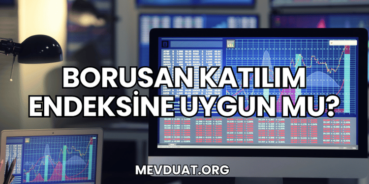 Borusan Katılım Endeksine Uygun mu?