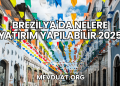 Brezilya'da Nelere Yatırım Yapılabilir 2025