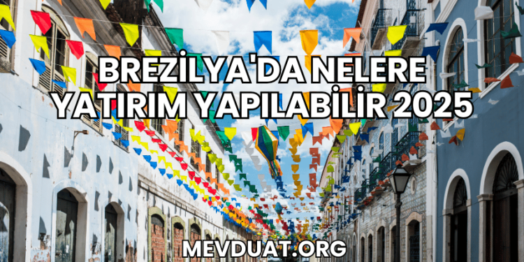 Brezilya'da Nelere Yatırım Yapılabilir 2025