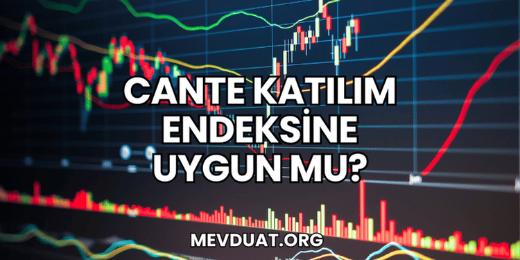CANTE Katılım Endeksine Uygun mu?