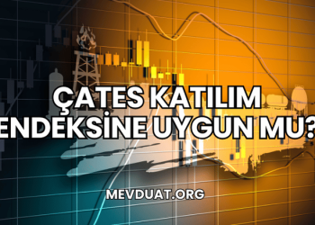 ÇATES Katılım Endeksine Uygun mu?