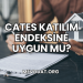 Cates Katılım Endeksine Uygun mu?