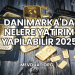 Danimarka'da Nelere Yatırım Yapılabilir 2025