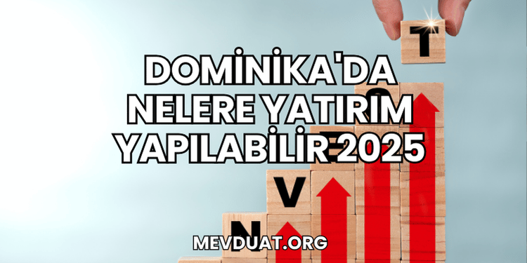 Dominika'da Nelere Yatırım Yapılabilir 2025