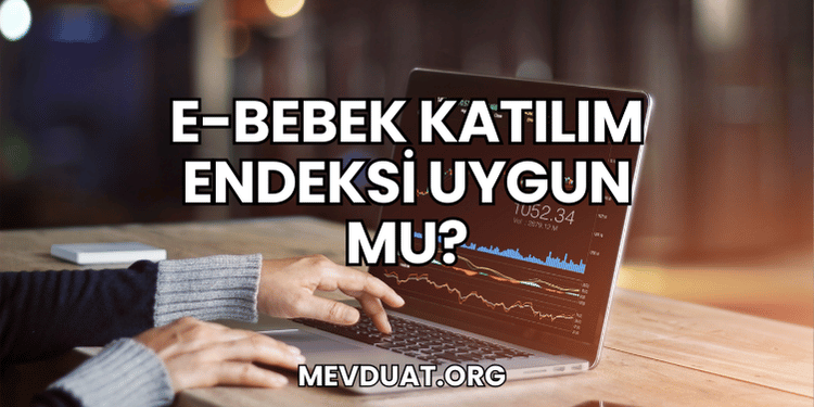 E-Bebek Katılım Endeksi Uygun mu?
