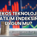 Ekos Teknoloji Katılım Endeksine Uygun mu?