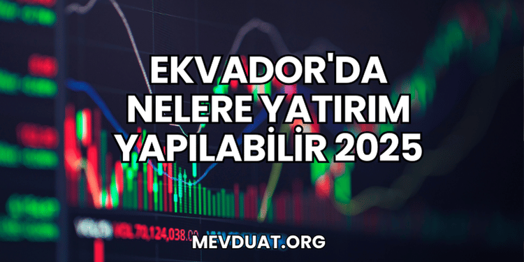 Ekvador'da Nelere Yatırım Yapılabilir 2025