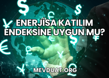 Enerjisa Katılım Endeksine Uygun mu?