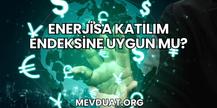 Enerjisa Katılım Endeksine Uygun mu?