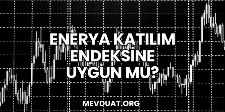 Enerya Katılım Endeksine Uygun mu?