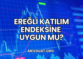 Ereğli Katılım Endeksine Uygun mu?