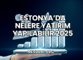 Estonya'da Nelere Yatırım Yapılabilir 2025