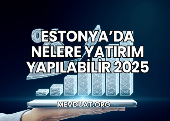 Estonya'da Nelere Yatırım Yapılabilir 2025