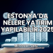Estonya'da Nelere Yatırım Yapılabilir 2025