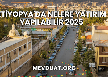 Etiyopya'da Nelere Yatırım Yapılabilir 2025