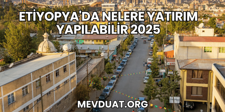 Etiyopya'da Nelere Yatırım Yapılabilir 2025