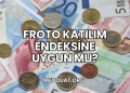 Froto Katılım Endeksine Uygun mu?