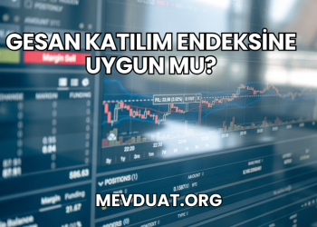 GESAN Katılım Endeksine Uygun mu?