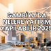 Gambiya'da Nelere Yatırım Yapılabilir 2025