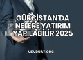 Gürcistan'da Nelere Yatırım Yapılabilir 2025