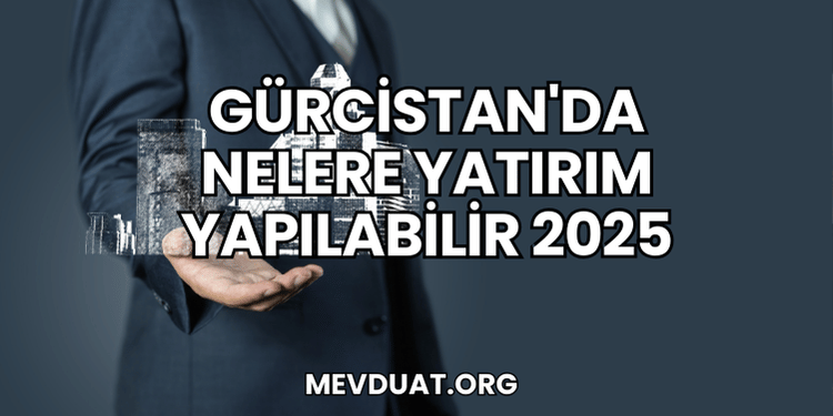 Gürcistan'da Nelere Yatırım Yapılabilir 2025