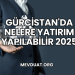 Gürcistan'da Nelere Yatırım Yapılabilir 2025
