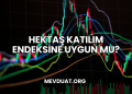 Hektaş Katılım Endeksine Uygun mu?
