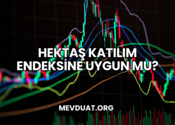 Hektaş Katılım Endeksine Uygun mu?