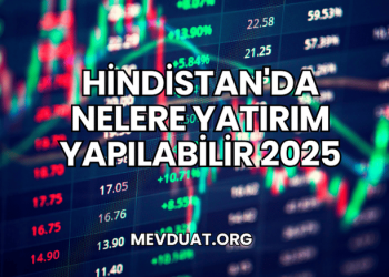 Hindistan'da Nelere Yatırım Yapılabilir 2025