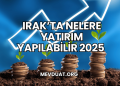 Irak'ta Nelere Yatırım Yapılabilir 2025