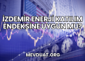 İzdemir Enerji Katılım Endeksine Uygun mu?