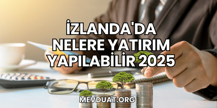 İzlanda'da Nelere Yatırım Yapılabilir 2025