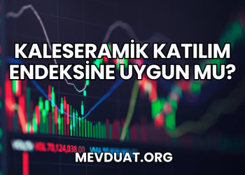 Kaleseramik Katılım Endeksine Uygun mu?