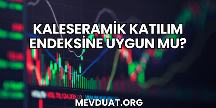 Kaleseramik Katılım Endeksine Uygun mu?