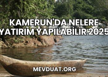 Kamerun'da Nelere Yatırım Yapılabilir 2025