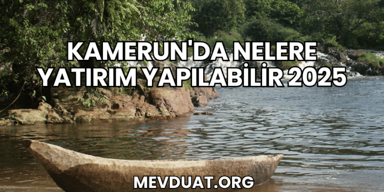 Kamerun'da Nelere Yatırım Yapılabilir 2025